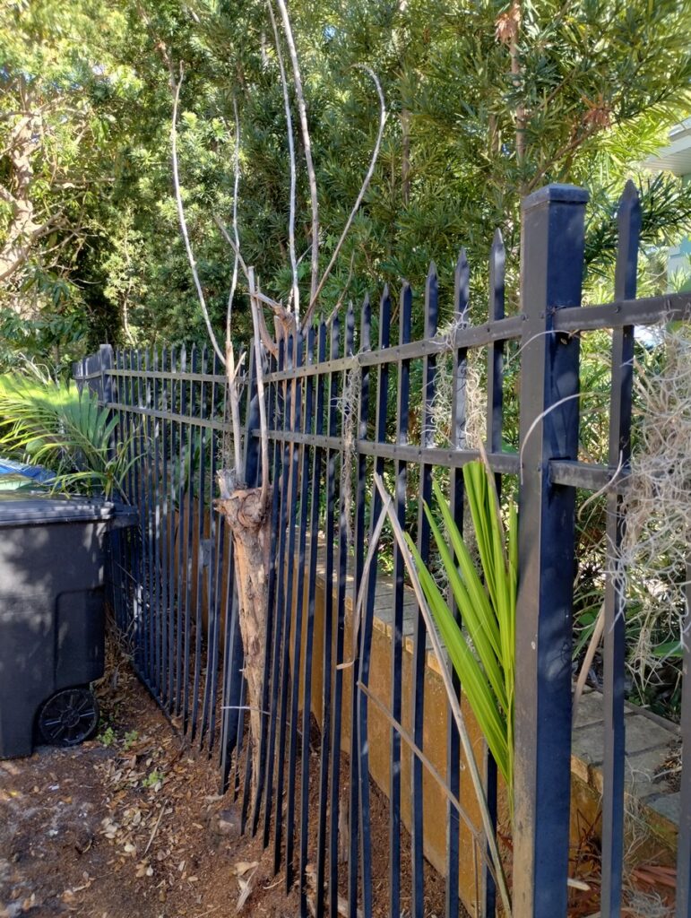 Aluminum Fence Repair Wesley Chapel Florida